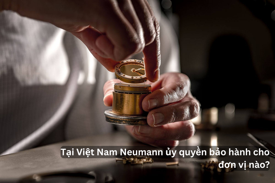 Tại Việt Nam Neumann Ủy Quyền Bảo Hành Cho Đơn Vị Nào?