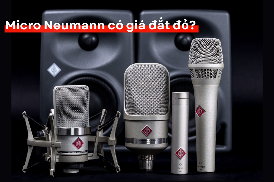 Vì Sao Micro Neumann Lại Có Giá Đắt Đỏ?