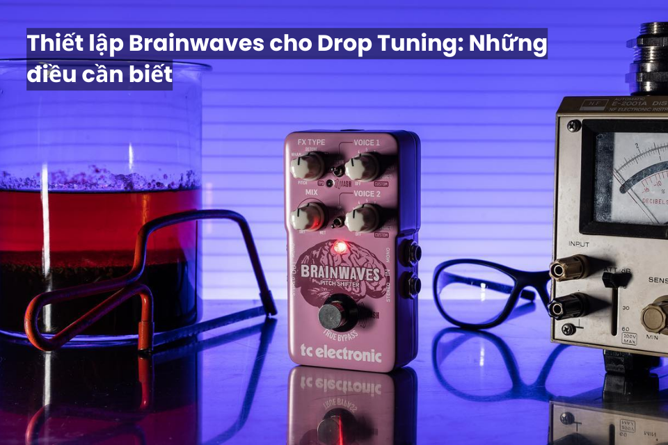 Thiết Lập Brainwaves Cho Drop Tuning: Những Điều Cần Biết