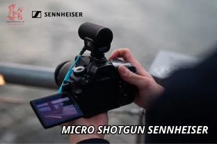 Top Micro shotgun Sennheiser đáng mua năm 2024