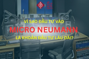 Vì Sao Đầu Tư Vào Micro Neumann Là Khoản Đầu Tư Lâu Dài?