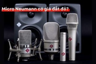 Vì Sao Micro Neumann Lại Có Giá Đắt Đỏ?