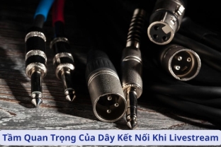 Tầm Quan Trọng Của Dây Kết Nối Khi Livestream - Yếu Tố Quyết Định Chất Lượng Buổi Phát Sóng