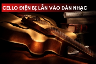 Cello Điện Bị Lẫn Vào Dàn Nhạc - Cách Để Tiếng Nổi Bật Mà Vẫn Hài Hòa