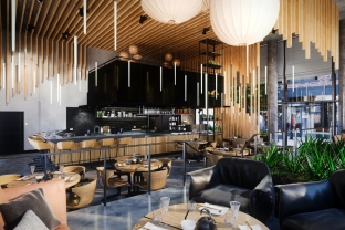 Which Speakers Are Best and Most Suitable for a Café?