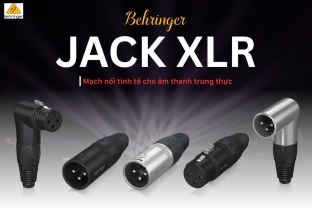 Jack XLR Behringer – Mạch nối tinh tế cho âm thanh trung thực