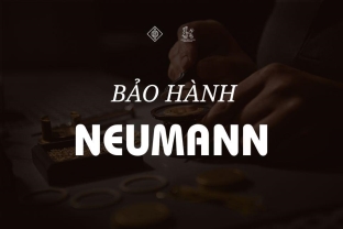 What Are You Risking When Repairing Neumann Equipment at the Wrong Service Provider?