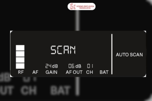What Makes Auto Scan on the EW-DX Stand Out?