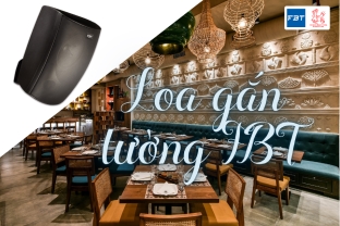 Giải Mã Vì Sao Nên Chọn Loa Gắn Tường FBT