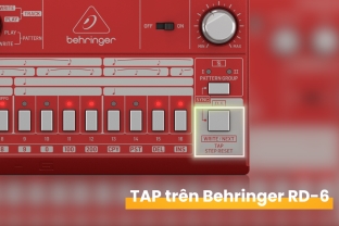 Hướng Dẫn Sử Dụng Nút TAP Trên Behringer RD-6