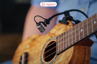 What Makes the Neumann MCM Special for Instrument Recording?