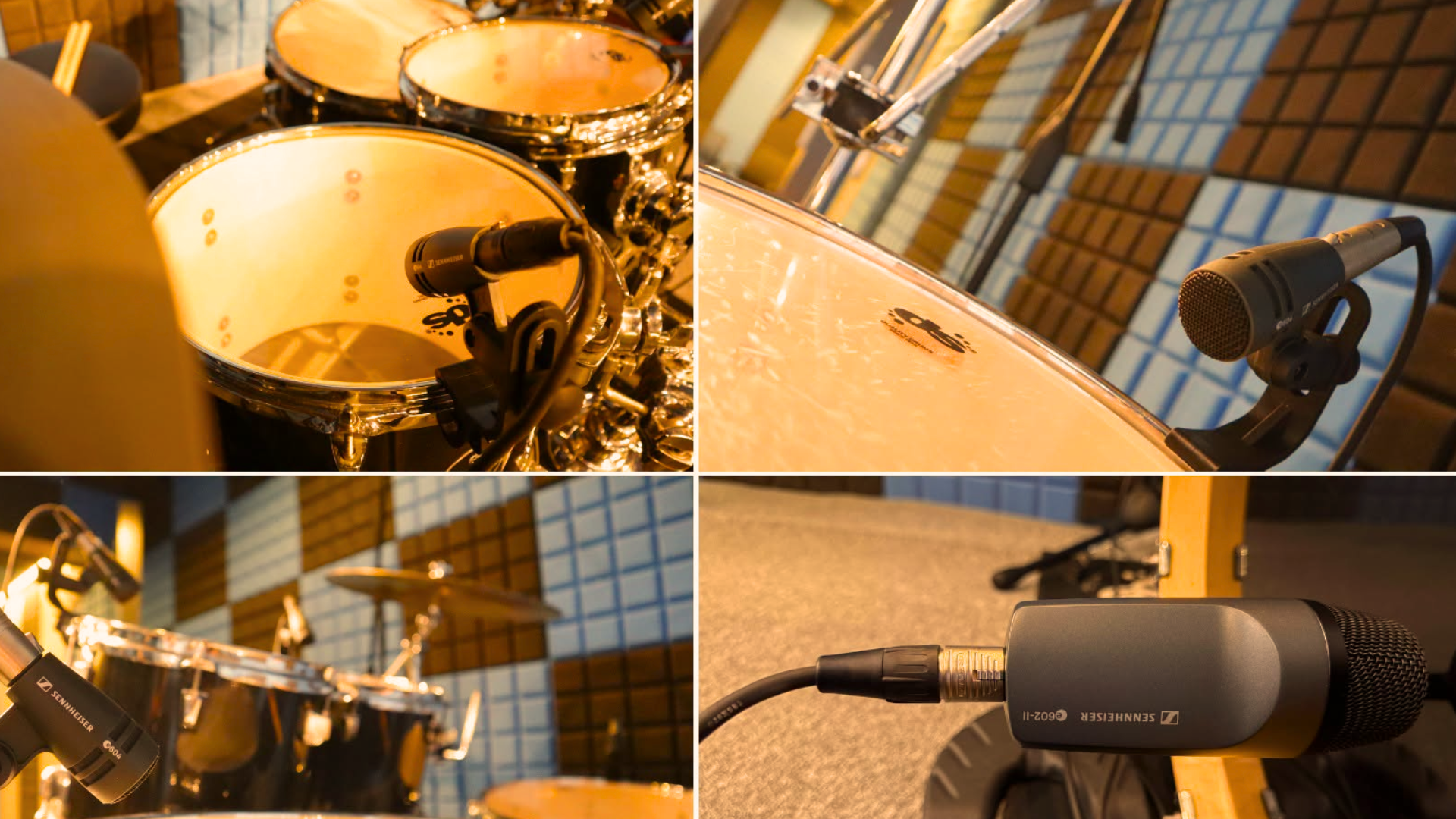 Neumann Studio
