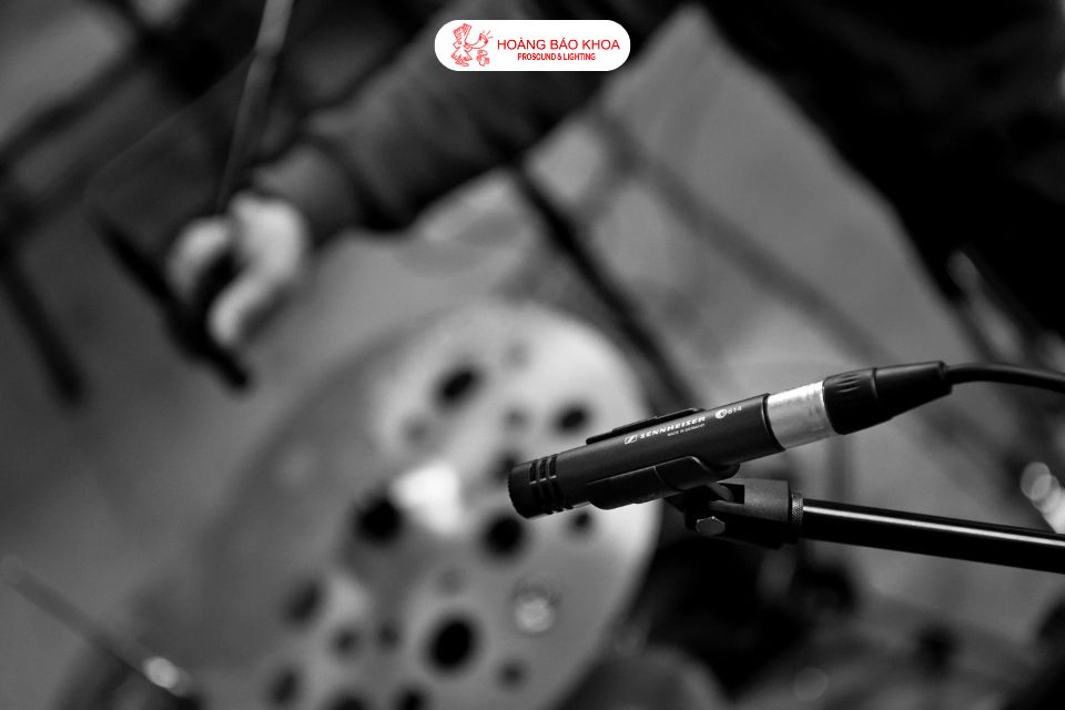 Cách kiểm tra bảo hành Sennheiser chính hãng tại Việt Nam