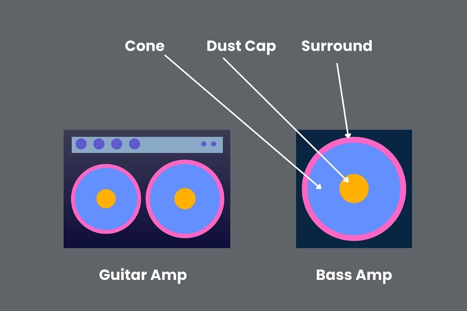 What is the difference between a bass amp and a guitar amp? Detailed comparison