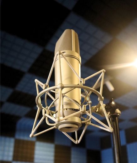 Microphone Experience