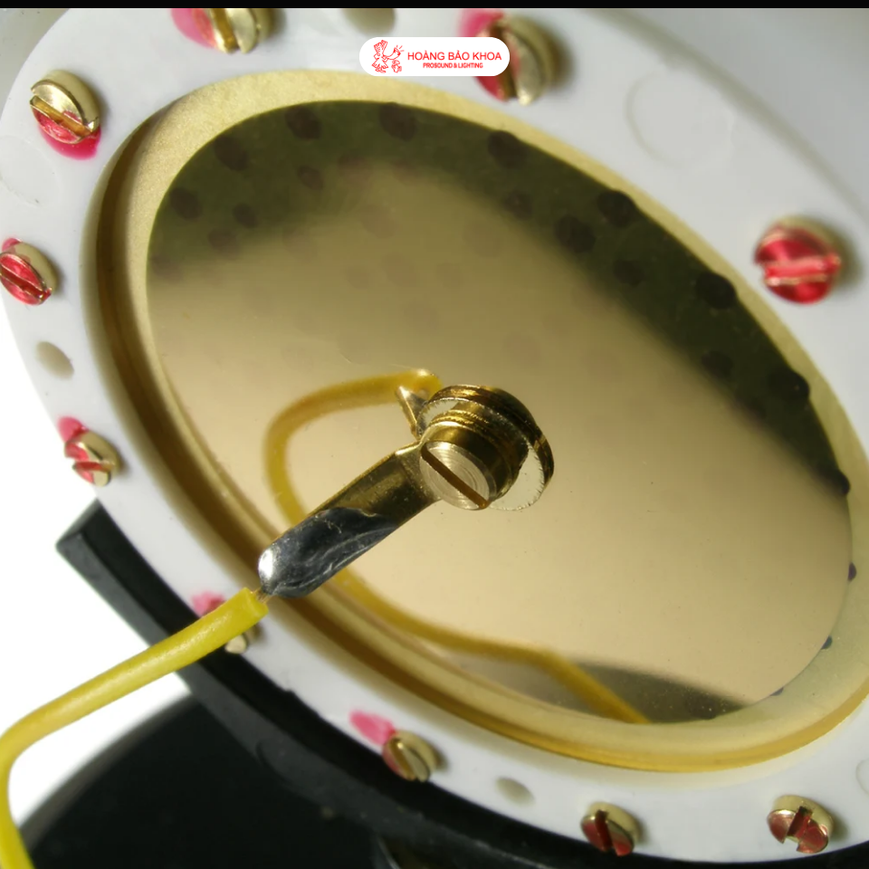 Differences in Circuit Design and Capsule