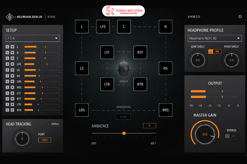 What Is Neumann RIME?