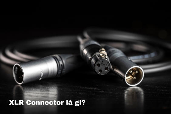 XLR Connector Là Gì? Ứng Dụng Trong Âm Thanh Và Thiết Bị Chuyên Nghiệp?