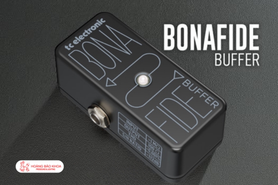 Cách Khắc Phục Tình Trạng Xẹp Tiếng Đàn Nhờ TC Electronic Buffer