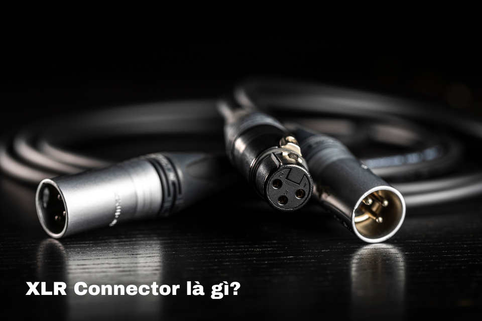 XLR Connector Là Gì? Ứng Dụng Trong Âm Thanh Và Thiết Bị Chuyên Nghiệp?