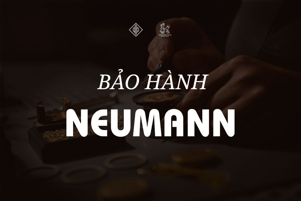 What Are You Risking When Repairing Neumann Equipment at the Wrong Service Provider?