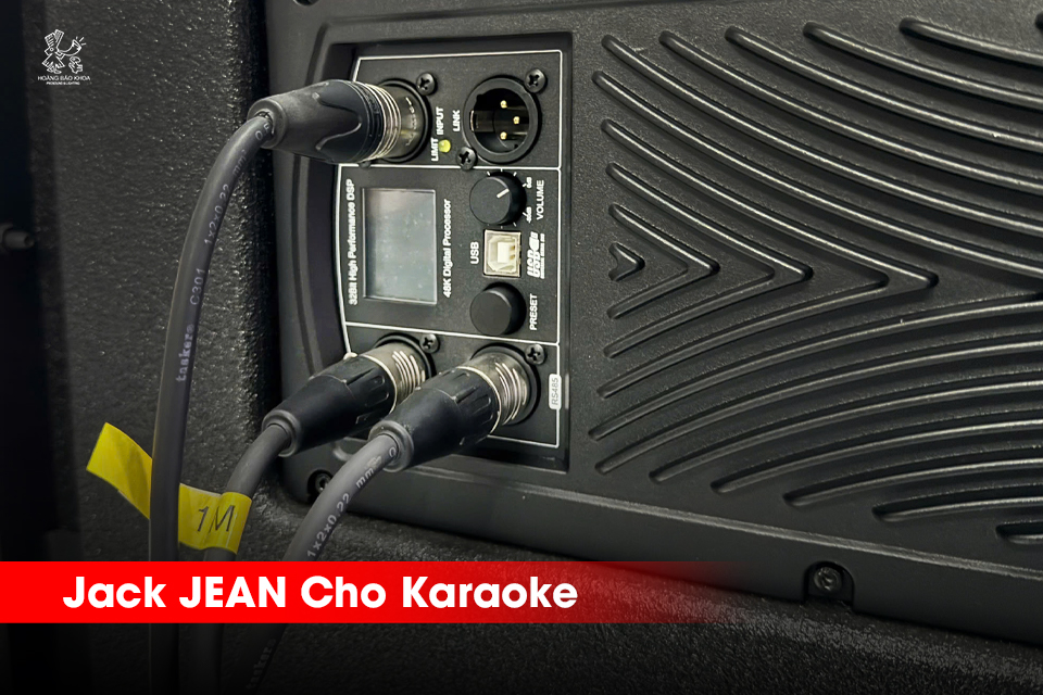 Jack Cho Karaoke | REAN – Bền Bỉ, Giá Hợp Lý, Dễ Lắp Đặt