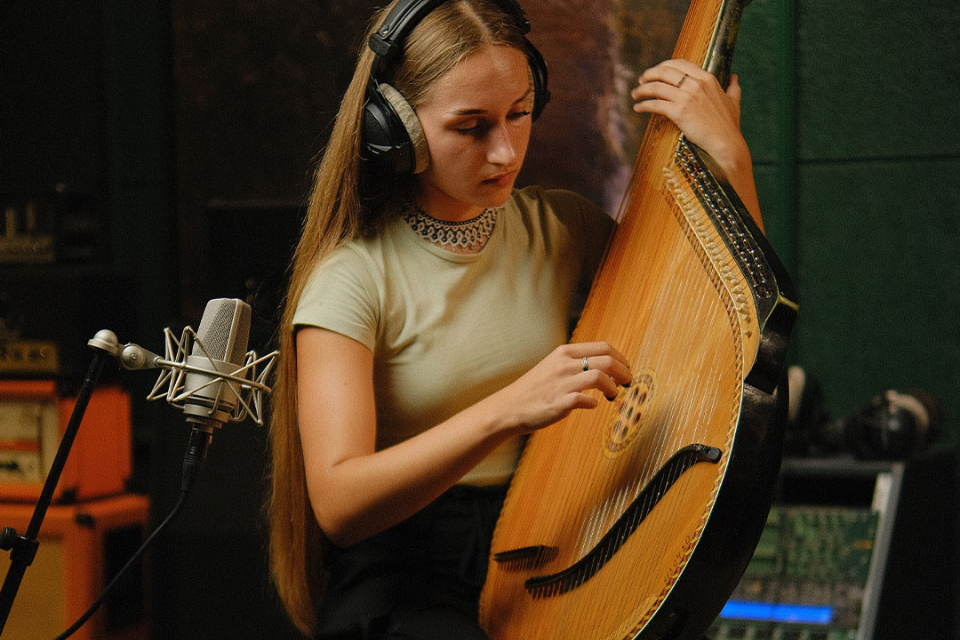 Are Neumann Microphones Suitable For Live Instrument Recording?