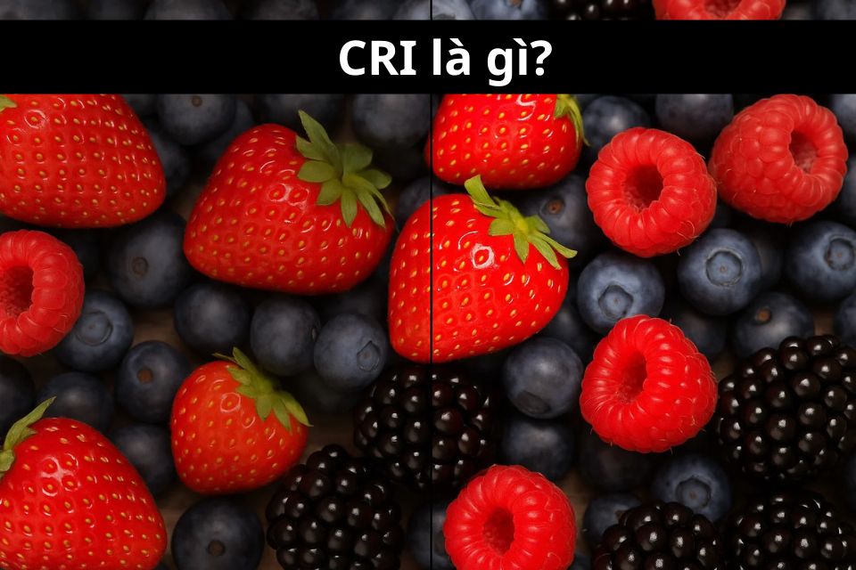 CRI là gì? Vì sao chỉ số hoàn màu quan trọng khi chọn đèn LED?