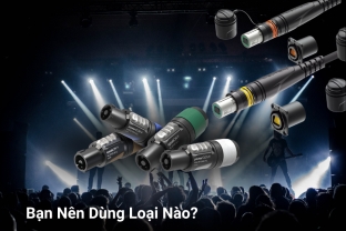 Có Nhiều Loại Jack Cắm Khác Nhau, Bạn Nên Dùng Loại Nào?