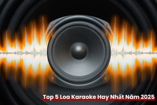 Top 5 Loa Karaoke Hay Nhất Năm 2025