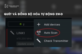 Quét và đồng bộ hóa tự động EW-D