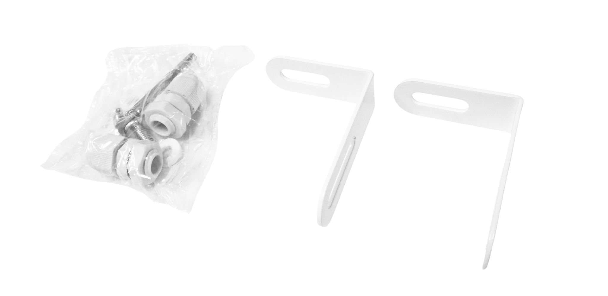 CS 3180/TW