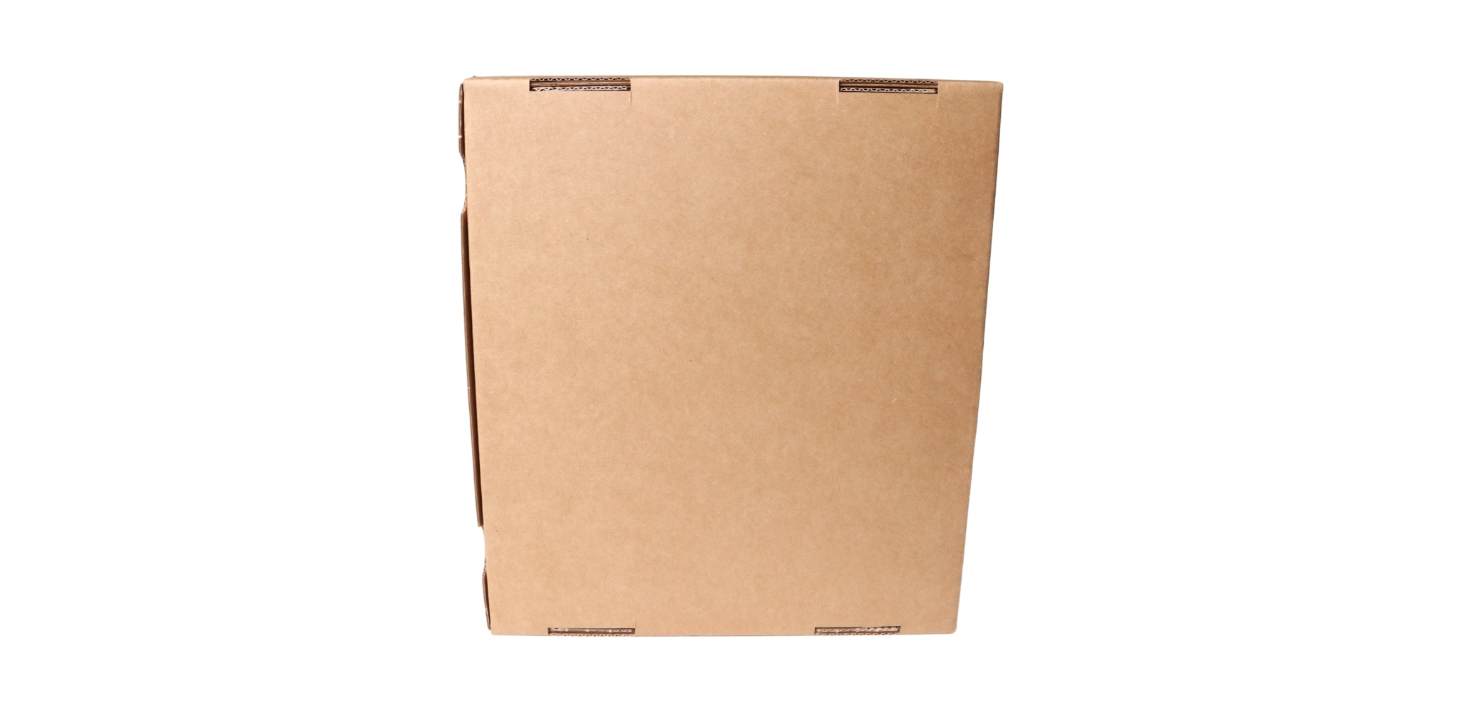 EW-DX TS 5-PIN (Q1-9)