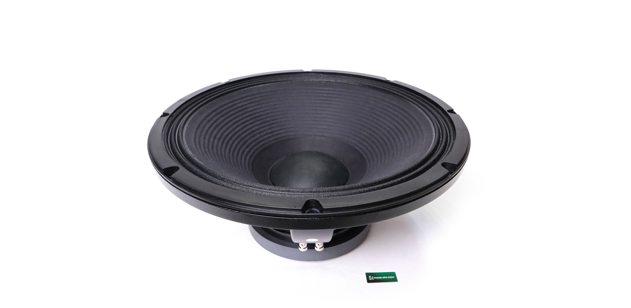 ユーザー様 Driver 18inch 1000W 4/8Ω Ferrite 18 Sound 18LW1400