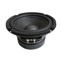 Hình sản phẩm AA05-00256-000 Củ Loa Bass IP300 Turbosound
