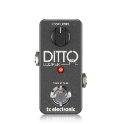 DITTO LOOPER Guitar and Bass Effects TC Electronic